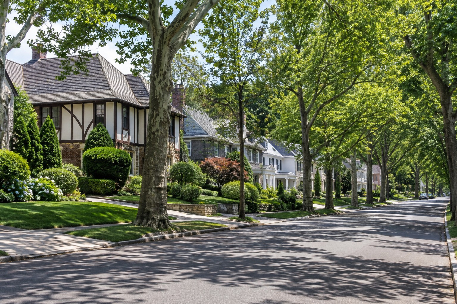 Douglaston